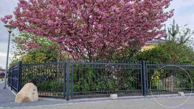 lider-zaun-galerie (33)